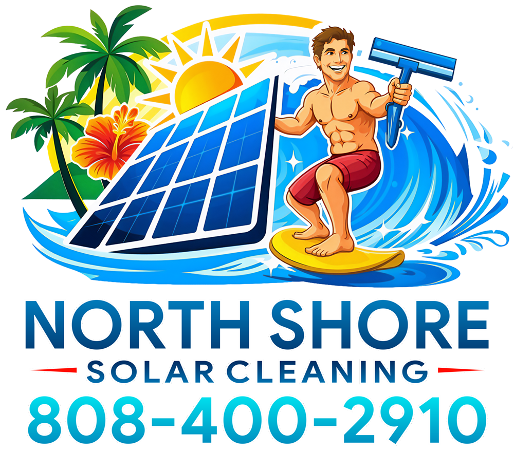 North Shore Solar Cleaning Logo